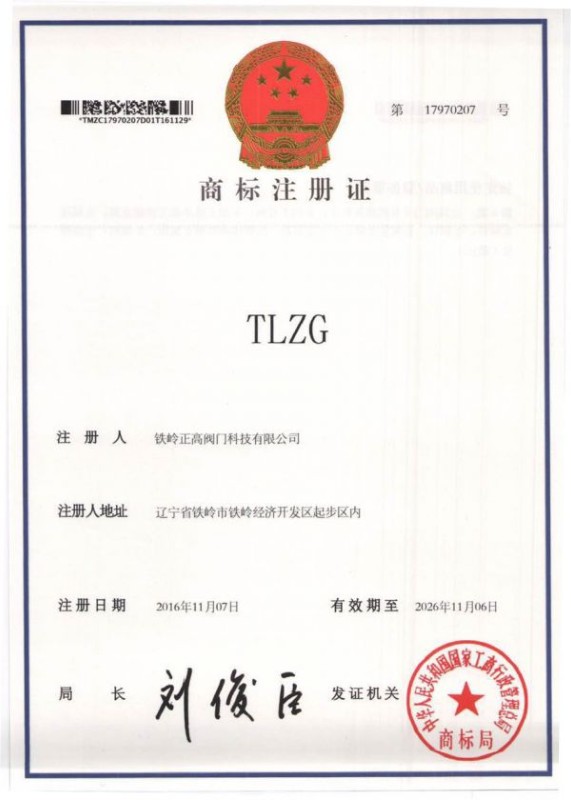TLZG商标注册证